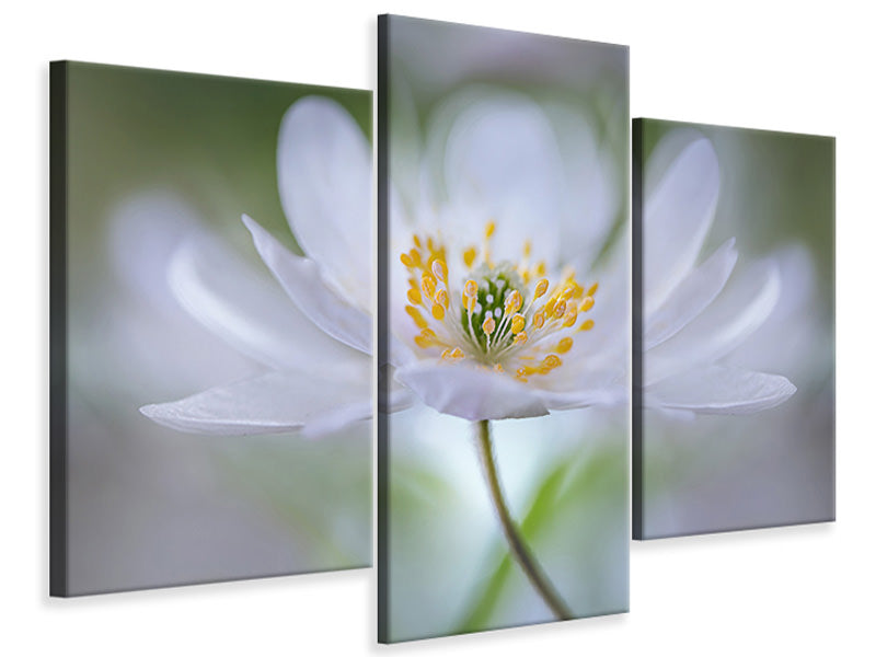 modern-3-piece-canvas-print-nemorosa-nirvana