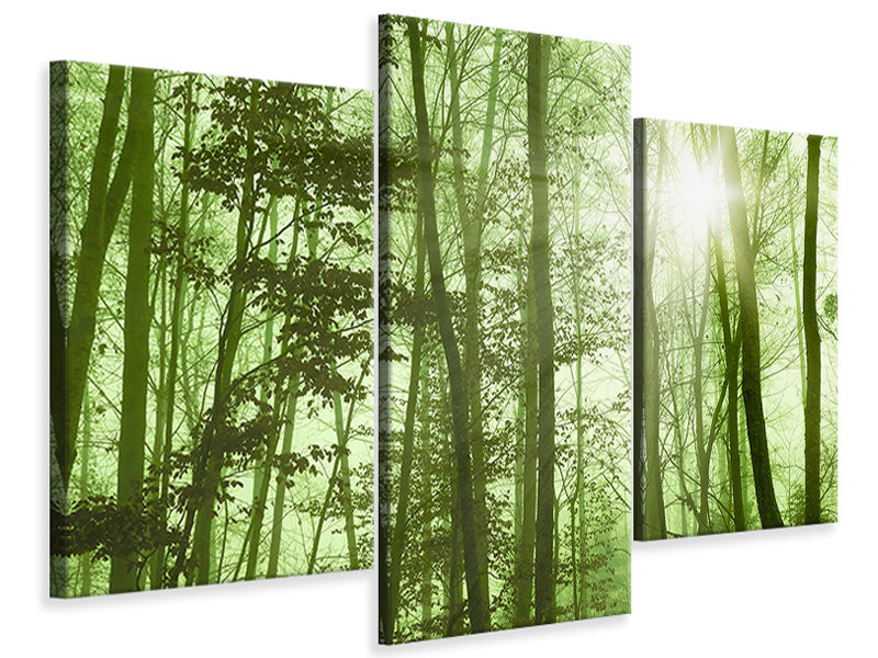 modern-3-piece-canvas-print-nibelungen-forest