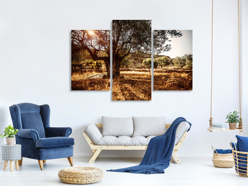 modern-3-piece-canvas-print-olive-grove