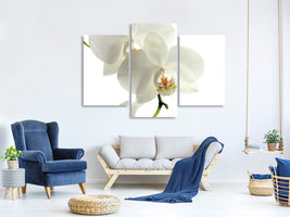 modern-3-piece-canvas-print-orchids-bloom