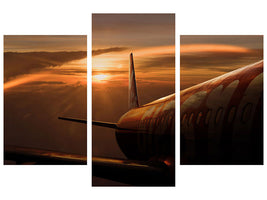 modern-3-piece-canvas-print-out-of-the-flight