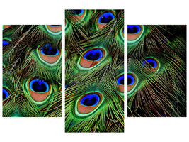 modern-3-piece-canvas-print-peacock-feathers-xxl