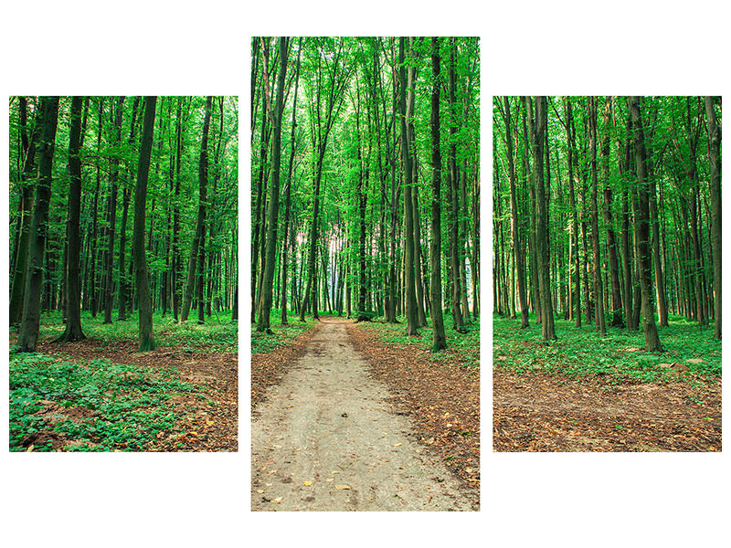 modern-3-piece-canvas-print-pine-forests