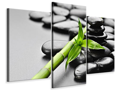 modern-3-piece-canvas-print-polished-stones