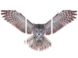 modern-3-piece-canvas-print-power-great-grey-owl