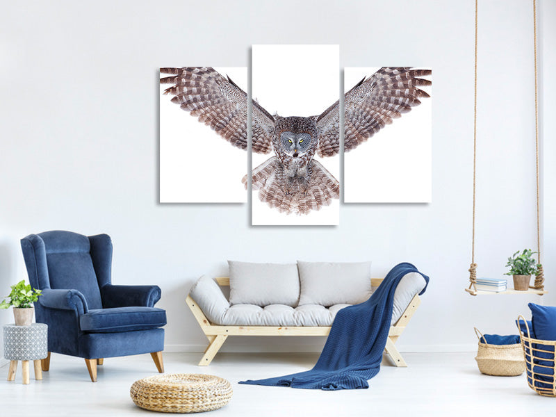 modern-3-piece-canvas-print-power-great-grey-owl