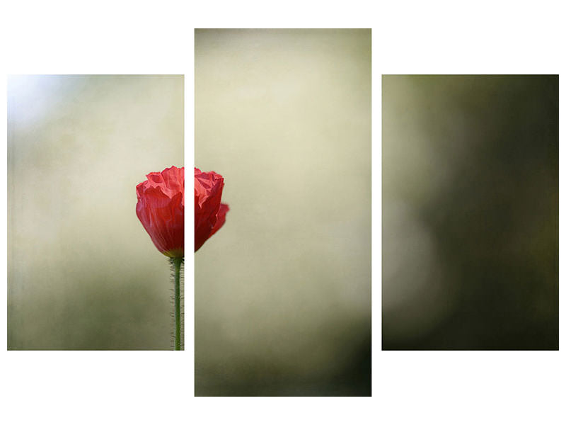 modern-3-piece-canvas-print-red-poppy