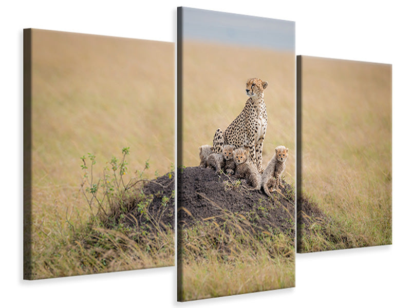 modern-3-piece-canvas-print-regal-protector