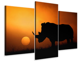 modern-3-piece-canvas-print-rhino-sunrise