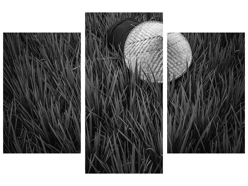 modern-3-piece-canvas-print-rice-fields-in-bw