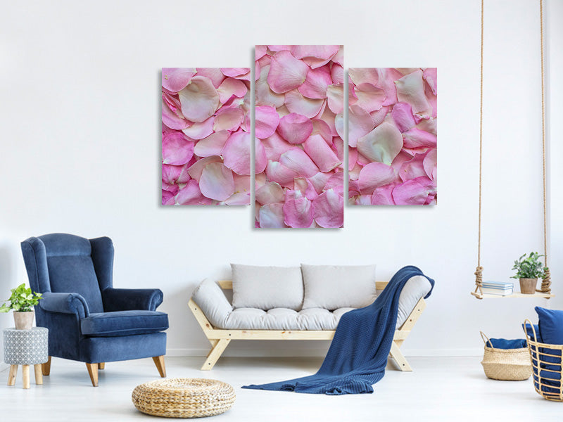 modern-3-piece-canvas-print-rose-petals-in-pink-ii