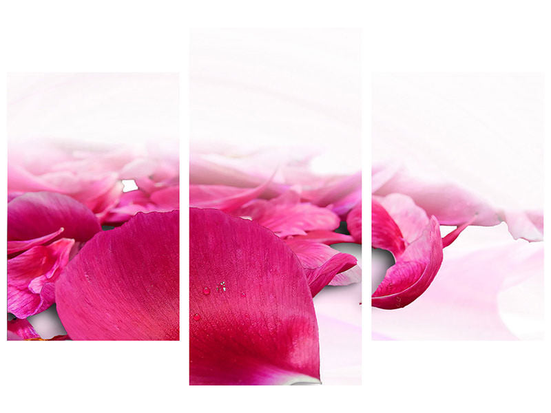 modern-3-piece-canvas-print-rose-petals-in-pink-iii