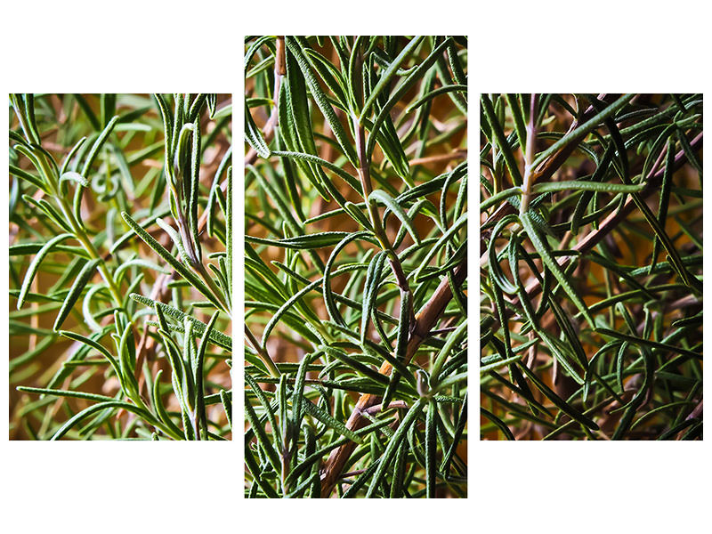 modern-3-piece-canvas-print-rosemary-xxl