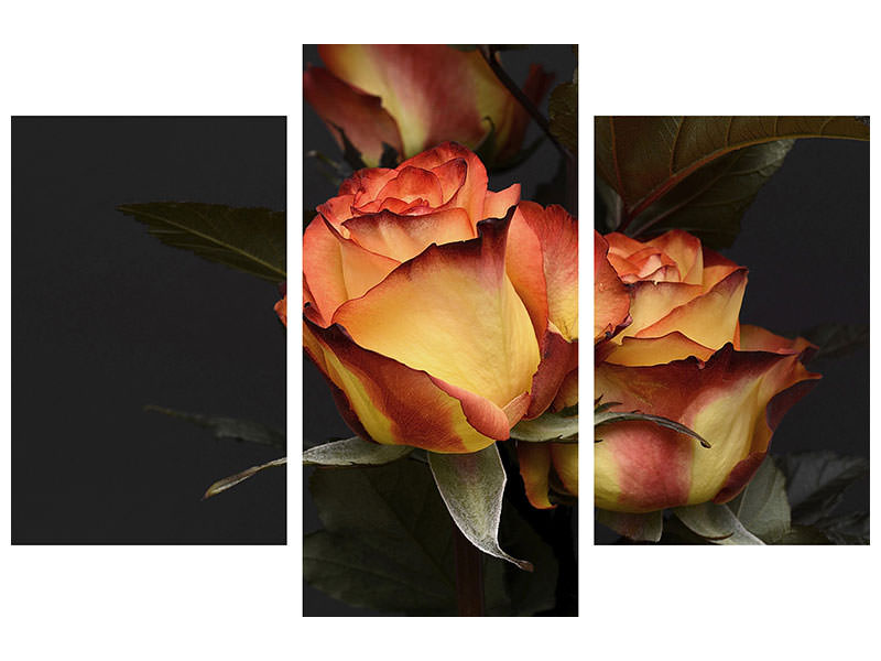 modern-3-piece-canvas-print-roses-of-the-romance