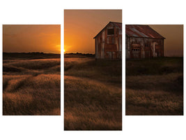 modern-3-piece-canvas-print-september-sun