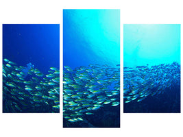 modern-3-piece-canvas-print-shoal-of-fish