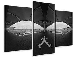 modern-3-piece-canvas-print-so-lonely