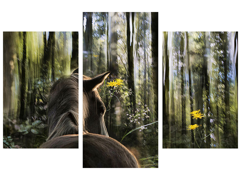 modern-3-piece-canvas-print-sound-are-forest