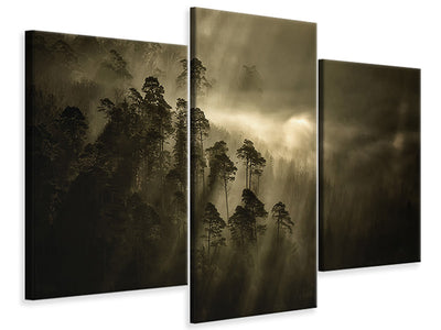 modern-3-piece-canvas-print-streiflichter