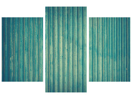 modern-3-piece-canvas-print-strip-of-nature