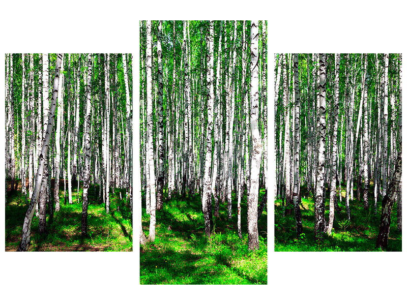 modern-3-piece-canvas-print-summerly-birch-forest