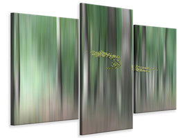 modern-3-piece-canvas-print-summermorning