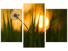 modern-3-piece-canvas-print-sunbathing