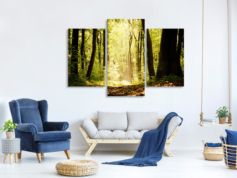 modern-3-piece-canvas-print-sunrise-in-the-forest