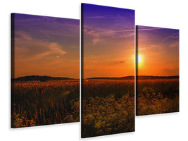 modern-3-piece-canvas-print-sunset-at-the-flower-field