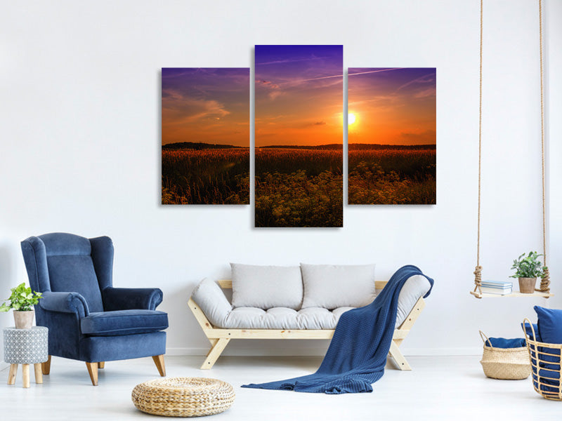 modern-3-piece-canvas-print-sunset-at-the-flower-field