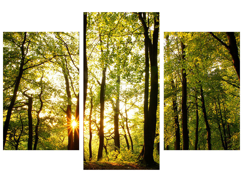 modern-3-piece-canvas-print-sunset-between-trees