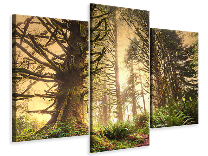 modern-3-piece-canvas-print-sunset-in-jungle