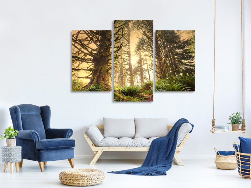 modern-3-piece-canvas-print-sunset-in-jungle