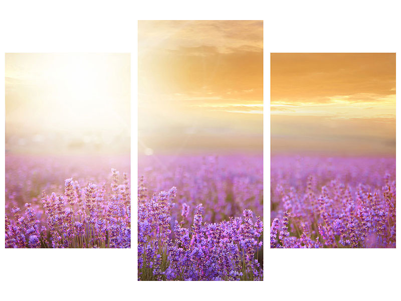 modern-3-piece-canvas-print-sunset-in-lavender-field