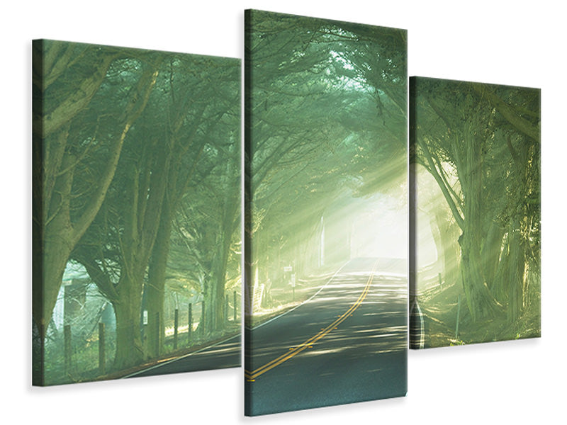 modern-3-piece-canvas-print-the-avenue