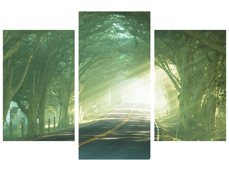 modern-3-piece-canvas-print-the-avenue