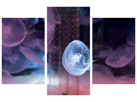 modern-3-piece-canvas-print-the-beauty-of-jellyfish