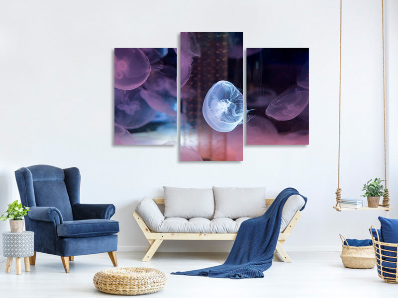 modern-3-piece-canvas-print-the-beauty-of-jellyfish