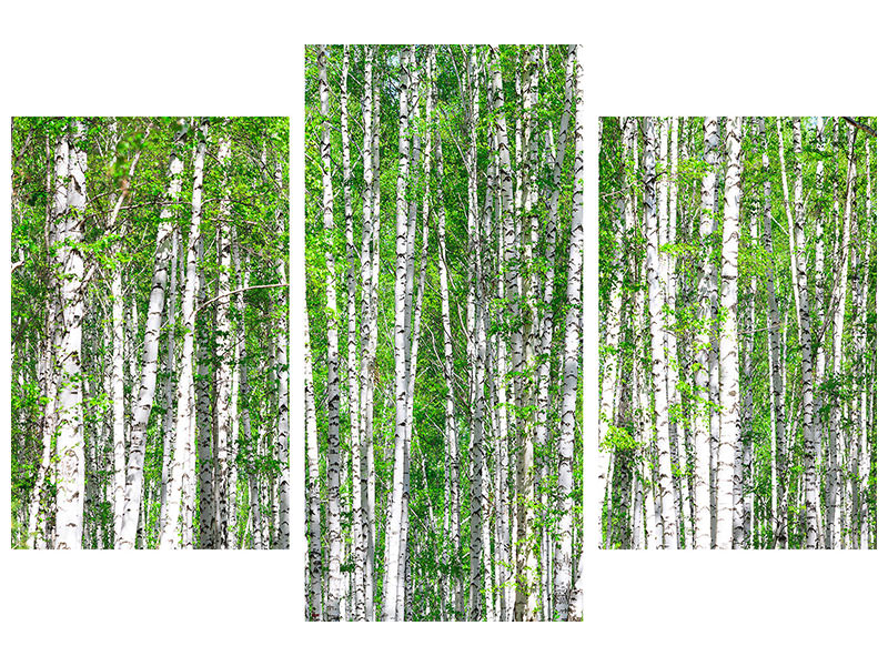 modern-3-piece-canvas-print-the-birch-forest