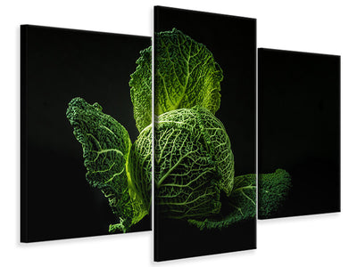 modern-3-piece-canvas-print-the-cabbage