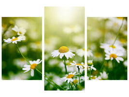 modern-3-piece-canvas-print-the-daisy