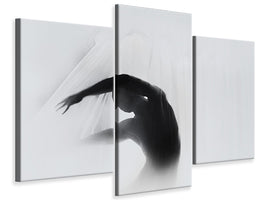 modern-3-piece-canvas-print-the-dance-of-silence