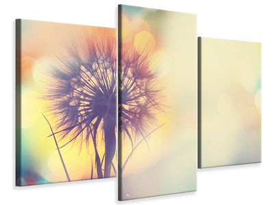 modern-3-piece-canvas-print-the-dandelion-in-the-light