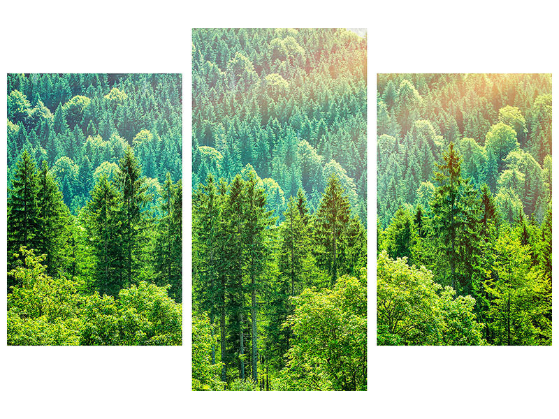 modern-3-piece-canvas-print-the-forest-hill