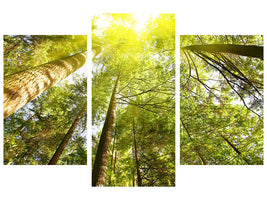 modern-3-piece-canvas-print-treetops-in-the-sun