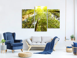 modern-3-piece-canvas-print-treetops-in-the-sun