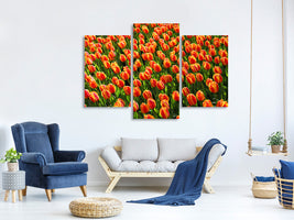 modern-3-piece-canvas-print-tulip-field-in-orange