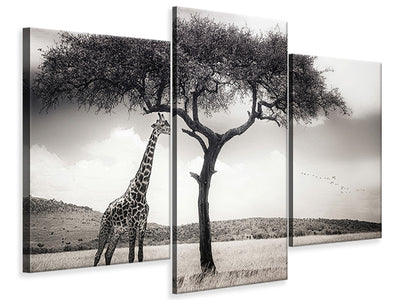 modern-3-piece-canvas-print-under-the-african-sun