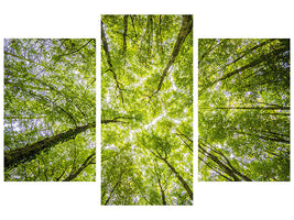 modern-3-piece-canvas-print-under-the-treetops