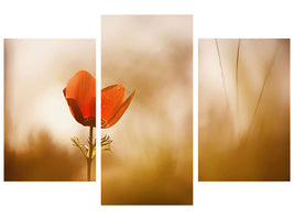 modern-3-piece-canvas-print-untitled-xxxi